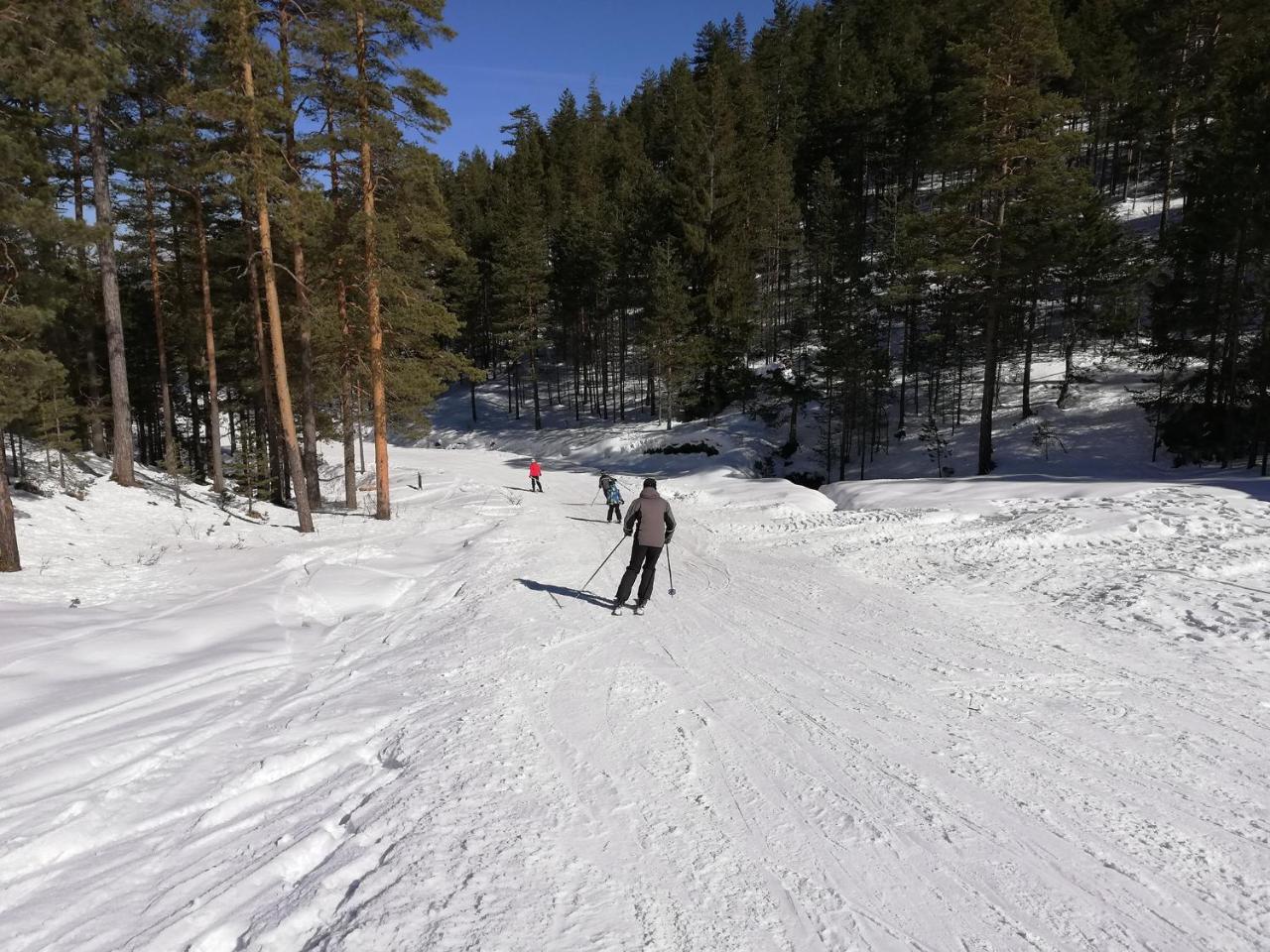 Lux Apartman Natasa Zlatibor Exteriör bild